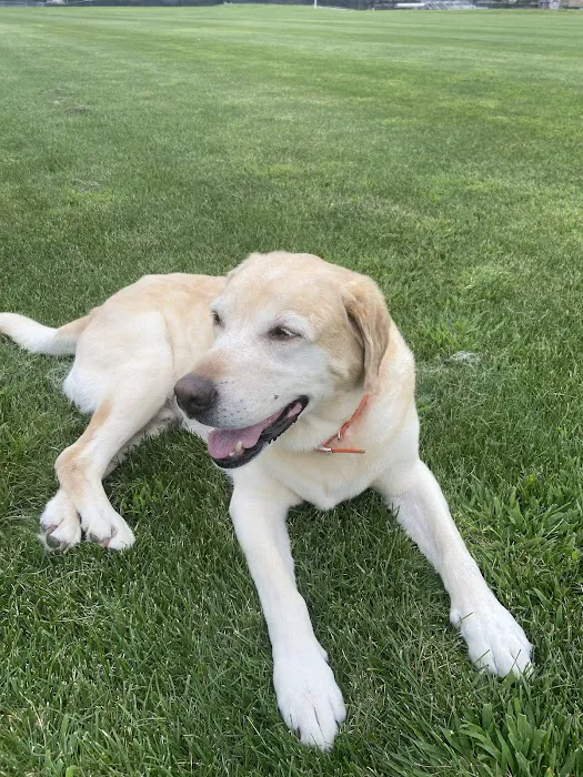Marlboro Animal Hospital 6