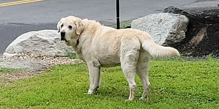 Marlboro Animal Hospital 5
