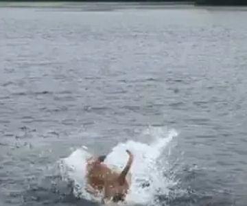 ProFormance Canine, Inc.