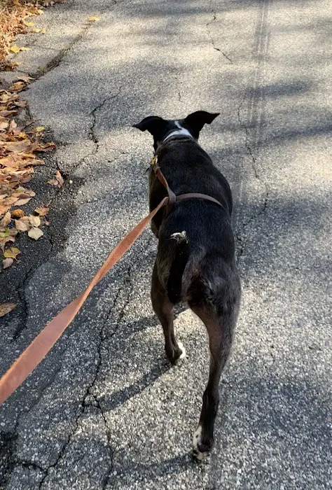 ProFormance Canine, Inc. 4