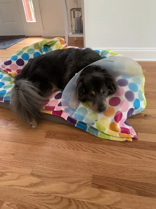 ProFormance Canine, Inc. 2
