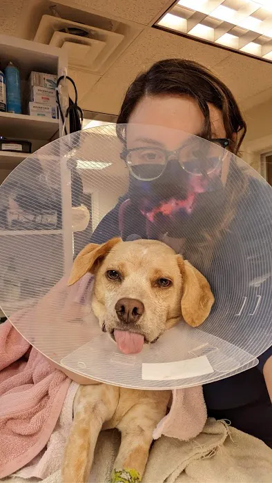 Townsend Veterinary Hospital 9