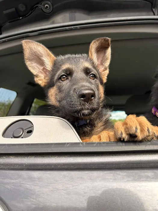 Best Friends Veterinary Hospital 10