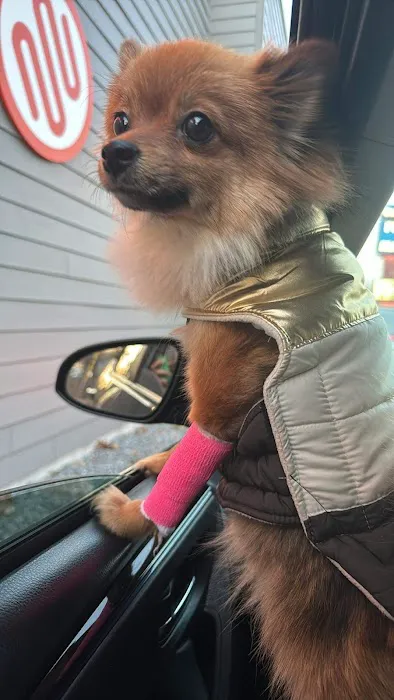 Best Friends Veterinary Hospital 6