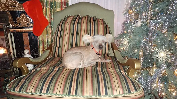 Park Place Veterinary Hospital 7