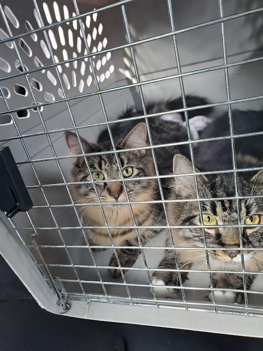 Park Place Veterinary Hospital 2