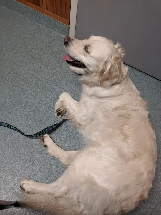 Cheshire Animal Hospital 8