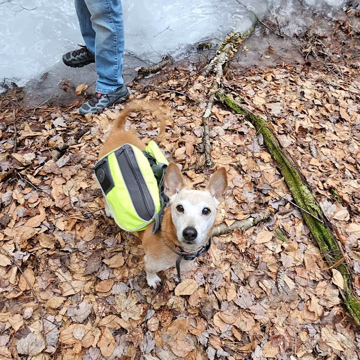 Cheshire Animal Hospital 7