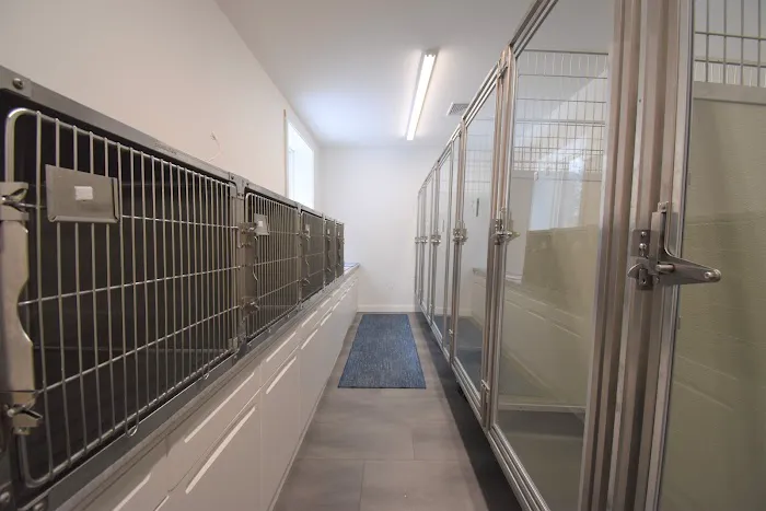 Court Street Veterinary Hospital 4