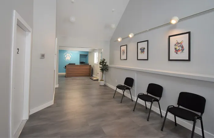 Court Street Veterinary Hospital 10