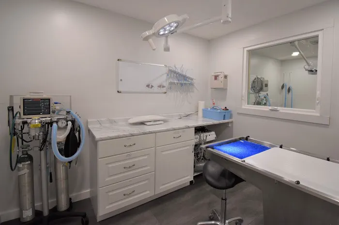 Court Street Veterinary Hospital 1