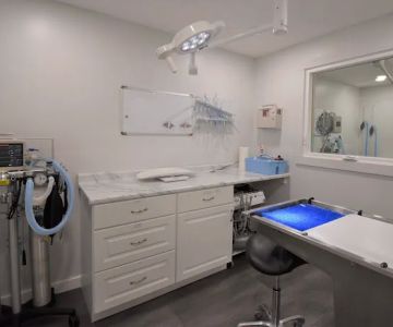 Court Street Veterinary Hospital