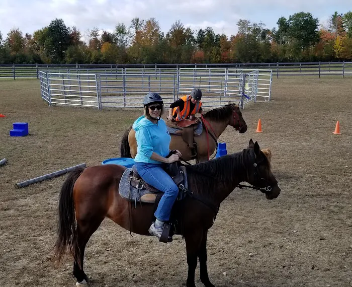 Kokal Farm Veterinary Services - Equine Dentistry, Equine Chiropractic and Lameness Services 5