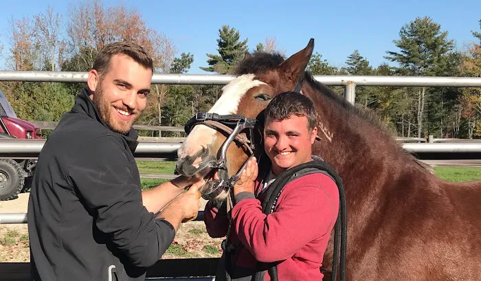 Kokal Farm Veterinary Services - Equine Dentistry, Equine Chiropractic and Lameness Services 3