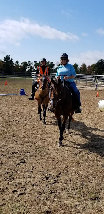 Kokal Farm Veterinary Services - Equine Dentistry, Equine Chiropractic and Lameness Services 4