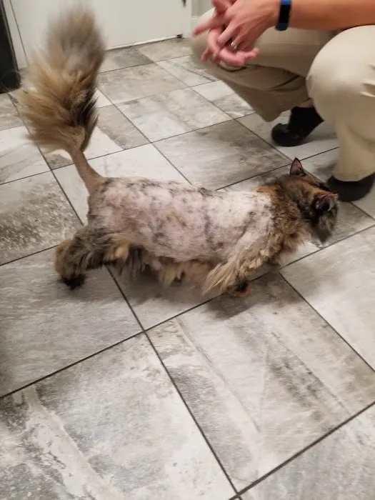 Apple Country Animal Hospital 10