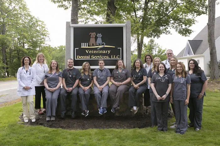 Veterinary Dental Services, LLC 8