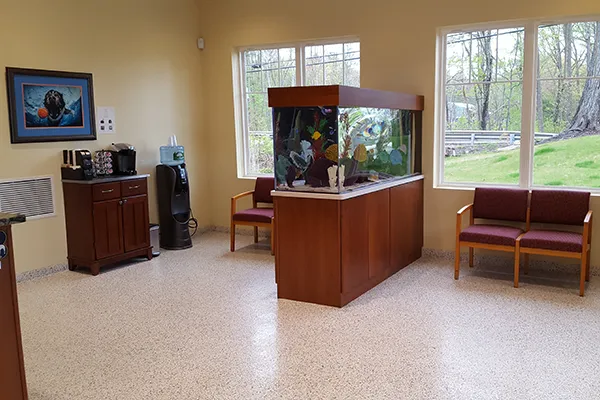 Veterinary Dental Services, LLC 5