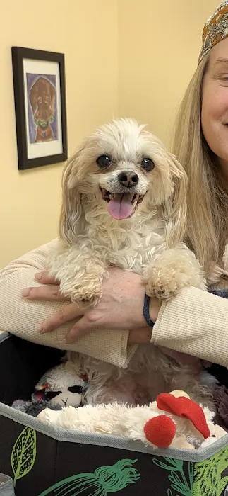 Veterinary Dental Services, LLC 2
