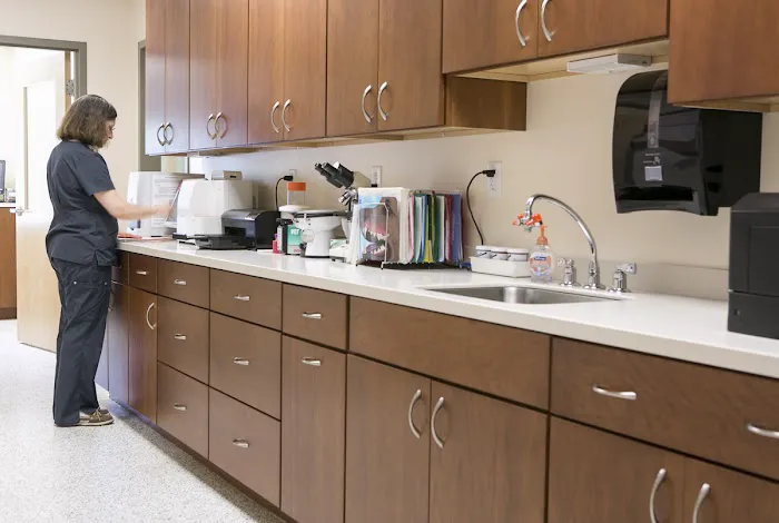 Veterinary Dental Services, LLC 6