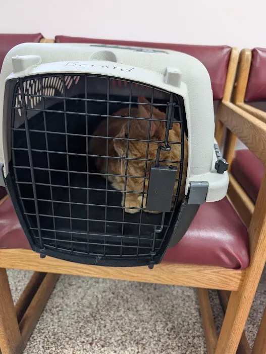 Compassion Veterinary Clinic 8