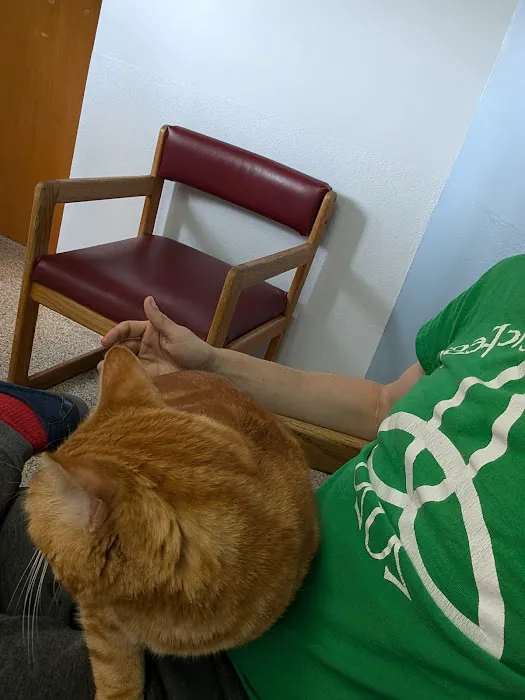 Compassion Veterinary Clinic 4