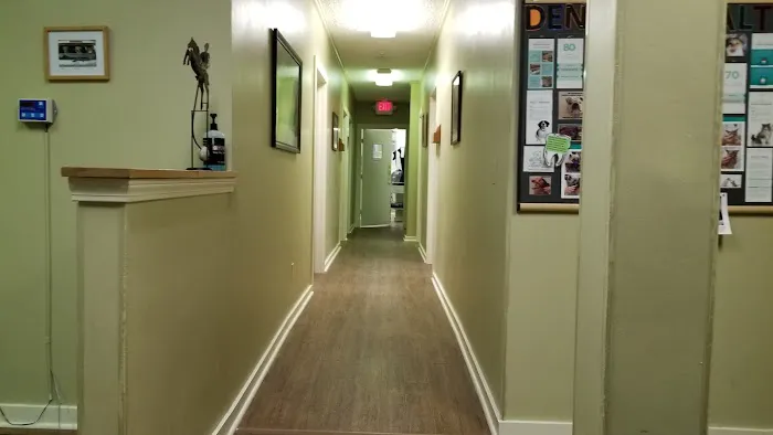 Arlington Animal Hospital 1