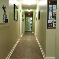 Arlington Animal Hospital ico