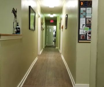 Arlington Animal Hospital