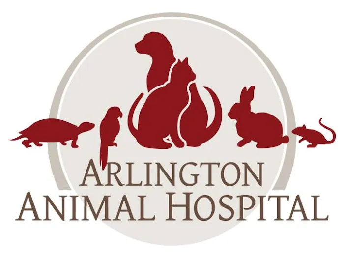 Arlington Animal Hospital 7