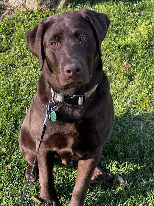 West Mountain Animal Hospital 3
