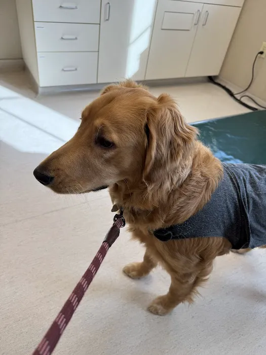 West Mountain Animal Hospital 4
