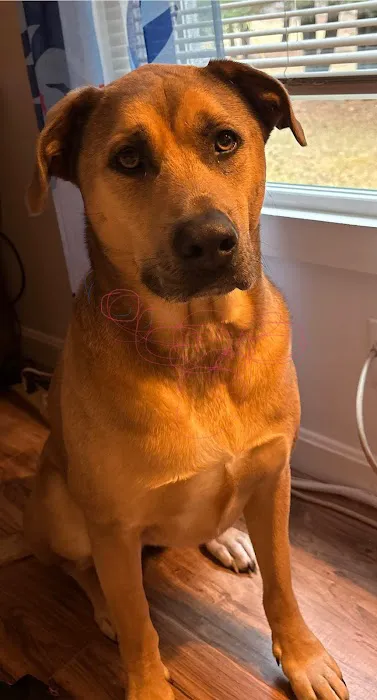 West Mountain Animal Hospital 9