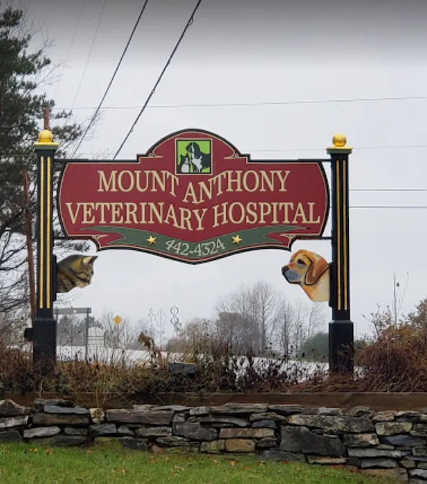 Mount Anthony Veterinary Hospital 10
