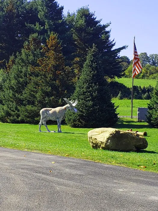 Mount Anthony Veterinary Hospital 9