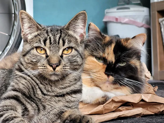 Cumberland Animal Hospital 7