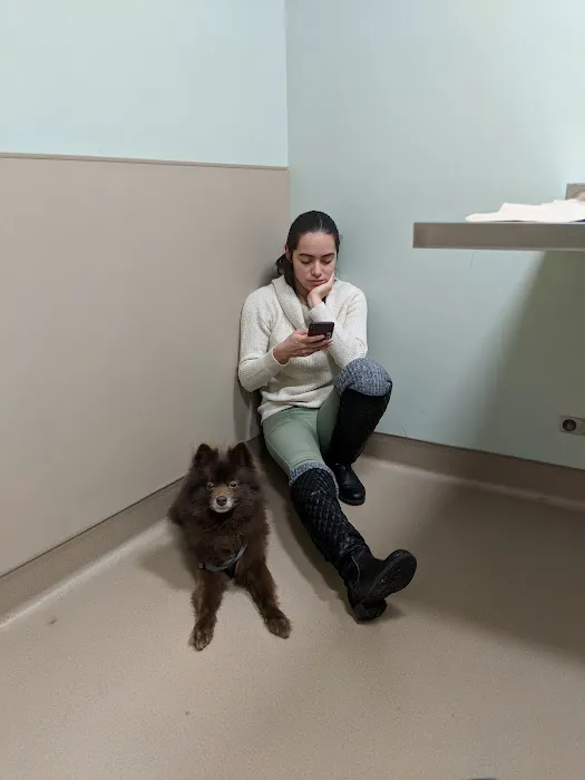 Abbott Valley Veterinary Center 8