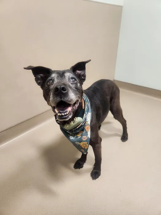 Abbott Valley Veterinary Center 10