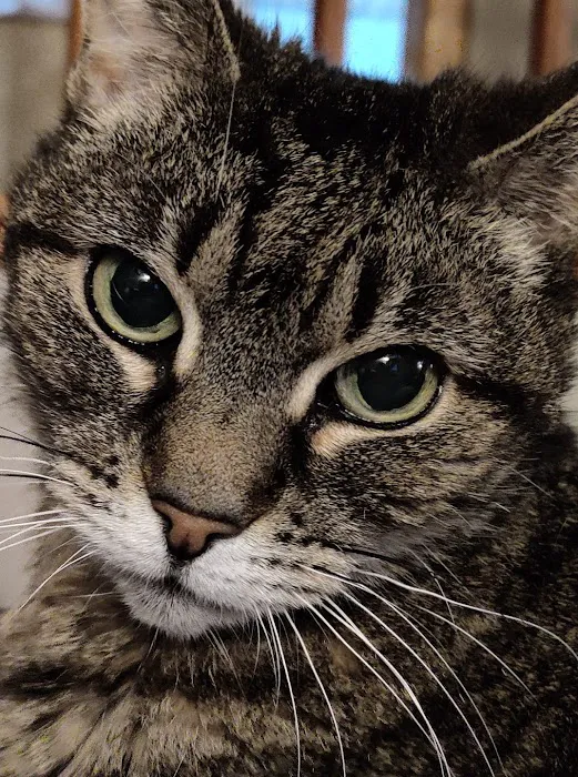 Abbott Valley Veterinary Center 9