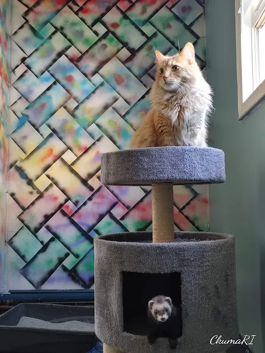 Compassionate Care Veterinary Clinic 3