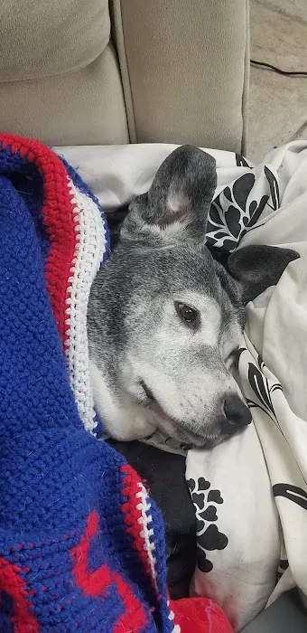 Banfield Pet Hospital 5