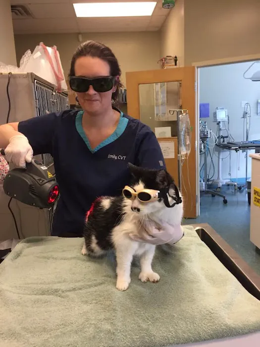 Millis Animal Hospital 9