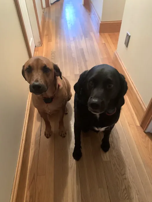 Family Pet Hospital 6