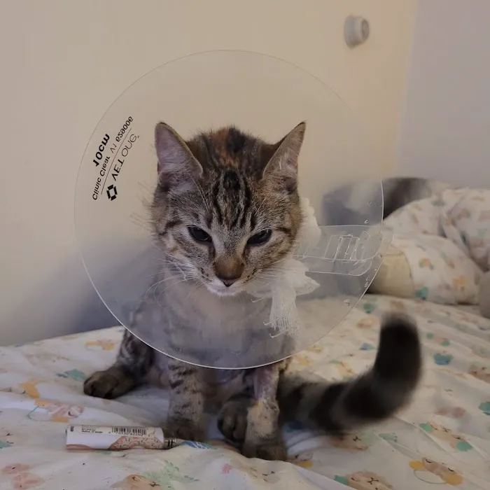 Family Pet Hospital 3