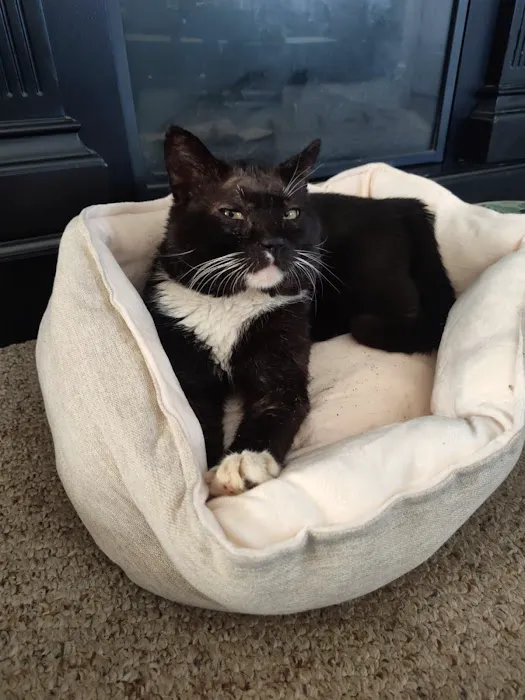 Franklin Veterinary Clinic 5