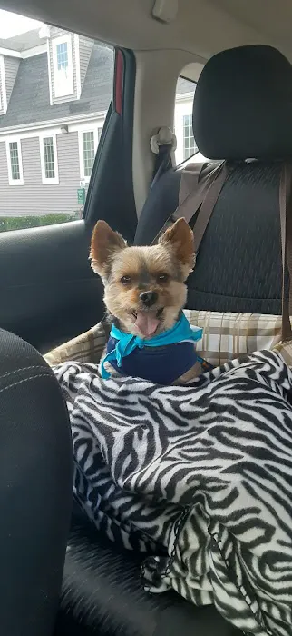 Franklin Veterinary Clinic 7