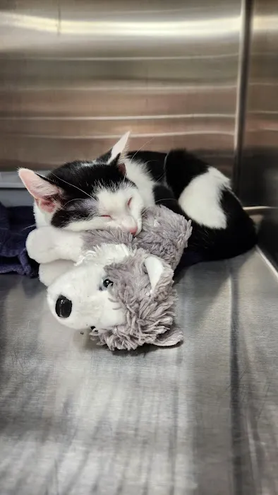 Vetco Total Care Animal Hospital 8