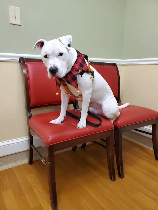 NorthPaws Veterinary Center 7