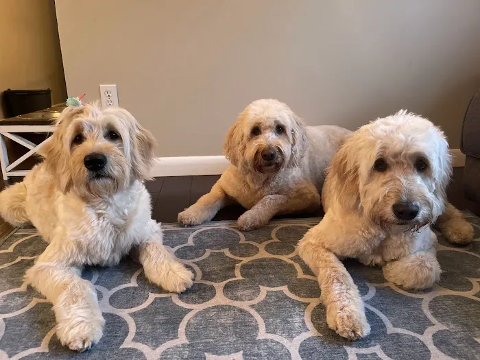 NorthPaws Veterinary Center 10
