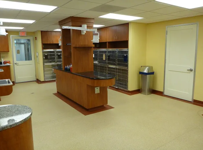NorthPaws Veterinary Center 6